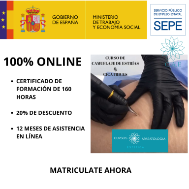 Certificación online de 160 horas con 20% de descuento y 12 meses de asistencia.