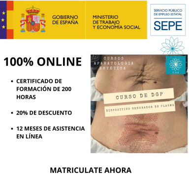 Certificación online de 200 horas con 20% de descuento y 12 meses de asistencia.